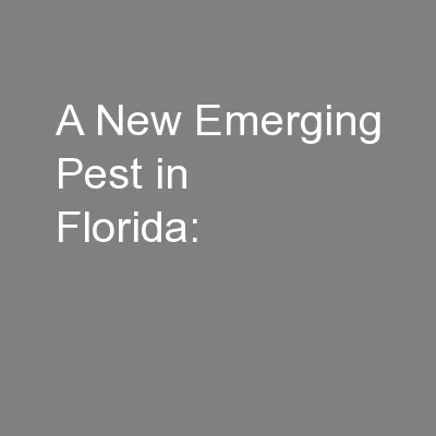 A New Emerging Pest in Florida: