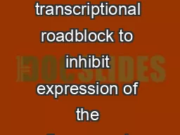 A variation of the Brainbow gene adds a transcriptional roadblock to inhibit expression