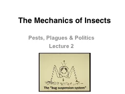 The Mechanics of Insects