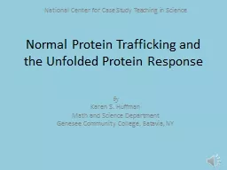 Normal Protein