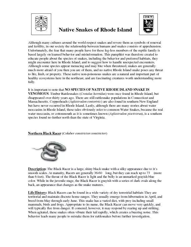 Native Snakes of Rhode IslandAlthough many cultures around the world r