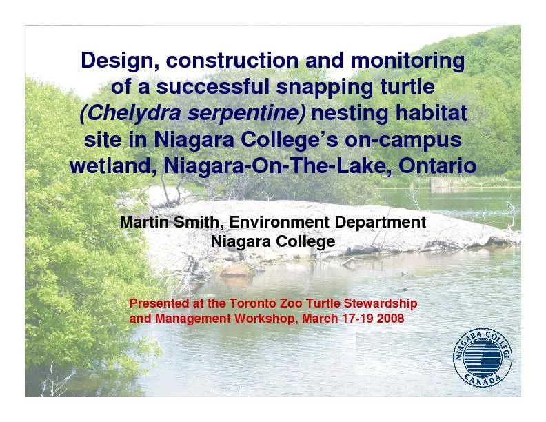 Design, construction and monitoring of a successful snapping turtle(Ch