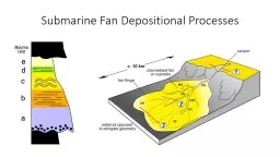Submarine Fan