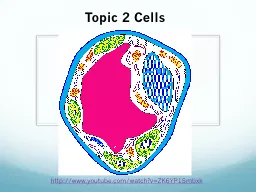 Topic 2 Cells
