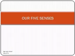 OUR FIVE SENSES