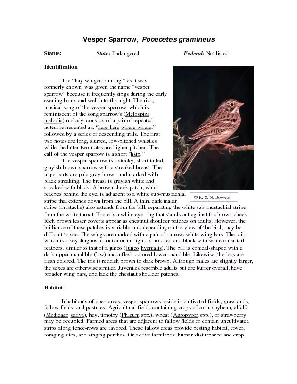 Vesper Sparrow, Pooecetes gramineusStatus:  EndangeredFederal: Not lis