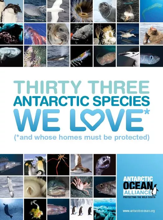 THIRTY THREE(*and whose homes must be protected)www.antarcticocean.org