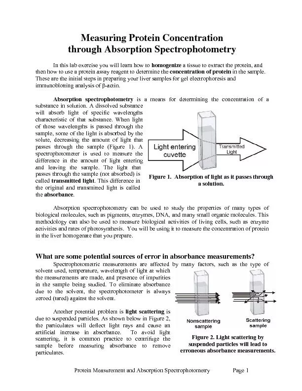 Protein Measurement and Absorption Spectrophotometry Page 1