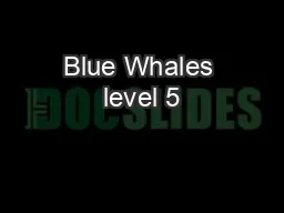 Blue Whales level 5