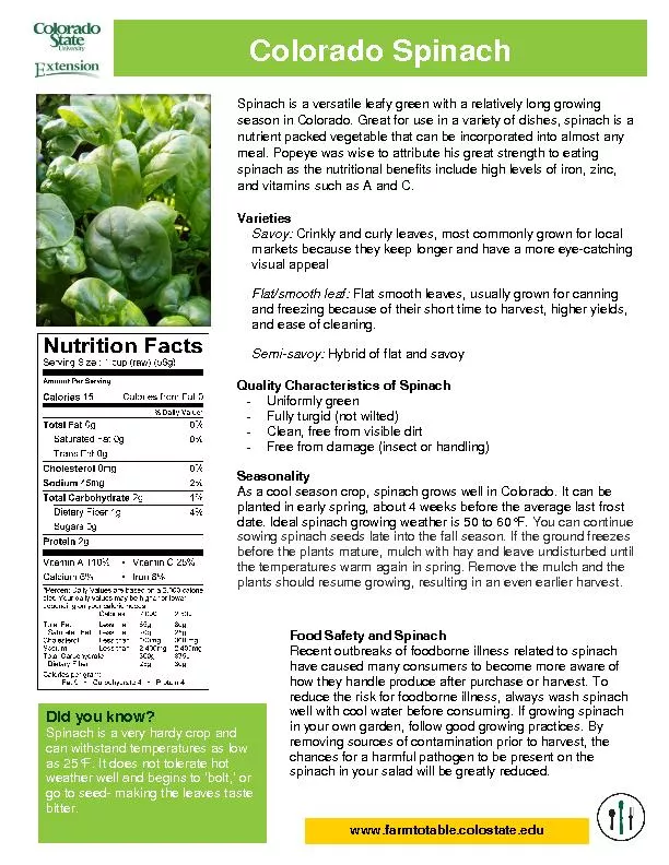 Spinach is a versatile leafy green with a relatively long growing 
...
