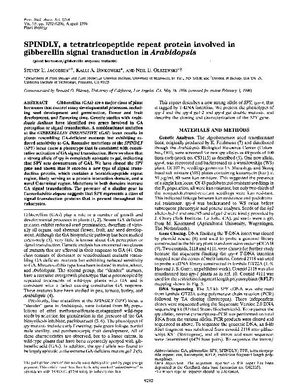 Proc.Natl.Acad.Sci.USAVol.93,pp.9292-9296,August1996PlantBiologySPINDL