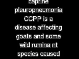Definition of the disease Contagious caprine pleuropneumonia CCPP is a disease affecting