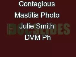 Contagious Mastitis Photo Julie Smith DVM Ph