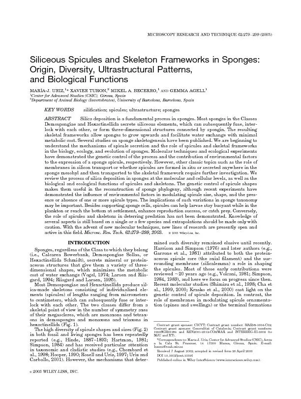 SiliceousSpiculesandSkeletonFrameworksinSponges:Origin,Diversity,Ultra