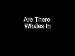 Are There Whales In