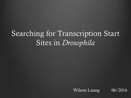 Searching for Transcription Start Sites in