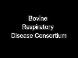 Bovine Respiratory Disease Consortium