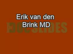 Erik van den Brink MD