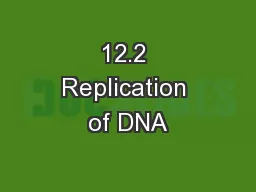 12.2 Replication of DNA