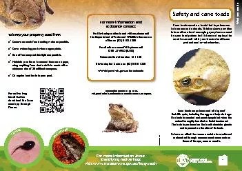 Cane toads are poisonous at all stages of The toxin is secreted and po