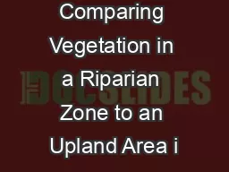 Comparing Vegetation in a Riparian Zone to an Upland Area i