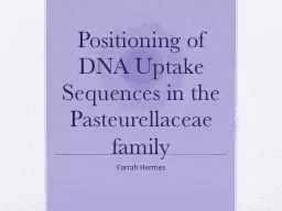 Positioning of DNA Uptake Sequences in the