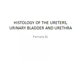 HISTOLOGY OF THE URETERS, URINARY BLADDER AND URETHRA