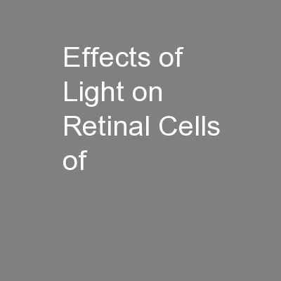 Effects of Light on Retinal Cells of
