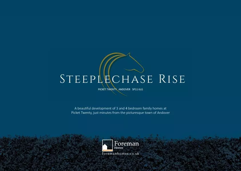 Steeplechase Rise