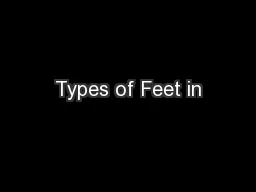 Types of Feet in