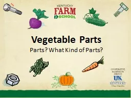 Vegetable Parts