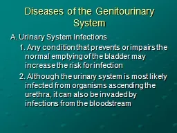 Diseases of the Genitourinary System