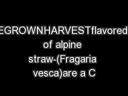 HOMEGROWNHARVESTflavoredfruits of alpine straw-(Fragaria vesca)are a C