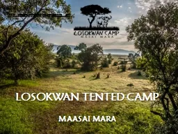 LOSOKWAN TENTED CAMP