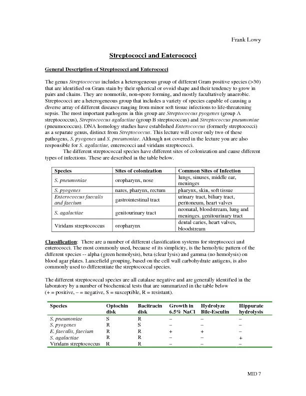 General Description of Streptococci and Enterococci