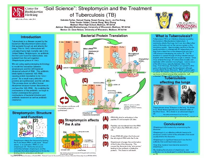 soil science streptomycin and the treatment of tuberculos