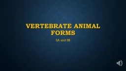 Vertebrate animal forms