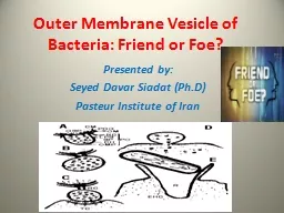 Outer Membrane Vesicle of Bacteria: Friend or Foe?