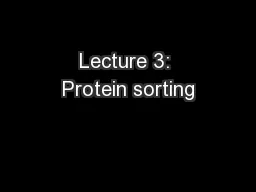 Lecture 3: Protein sorting
