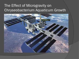 The Effect of Microgravity on