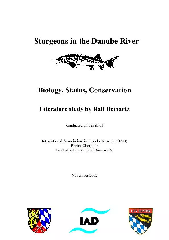 Sturgeons in the Danube River
