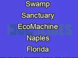 Audubon Society Corkscrew Swamp Sanctuary EcoMachine Naples Florida KHRUNVFUHZZDPSLVDPDJQLFHQWQDWXUDODW