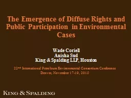 The Emergence of Diffuse Rights and Public Participation in