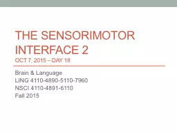 The sensorimotor interface 2
