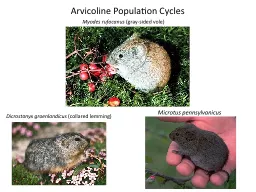 Arvicoline