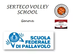 SERTECO VOLLEY SCHOOL