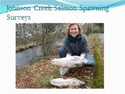 Johnson Creek Salmon Spawning Surveys