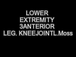 LOWER EXTREMITY 3ANTERIOR LEG. KNEEJOINTL.Moss