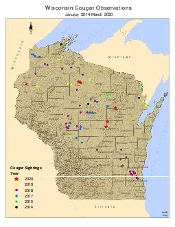 Wisconsin and michigan cougar observations December 2009 August 2015
