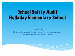 School Safety Audit